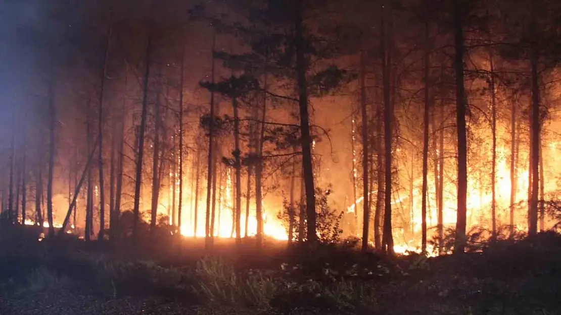 Muğla Valiliği vatandaşları orman yangını konusunda uyarı yaptı
