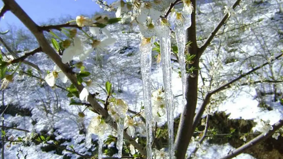 Muğla'ya yağmur sonrası soğuk hava uyarısı