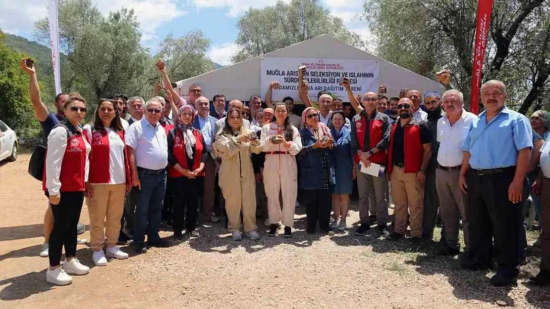 Muğlalı arıcılara damızlık ana arı dağıtımı