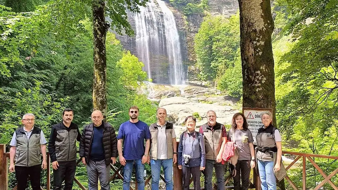 Mustafakemalpaşa ormanları 'Terapi ormanı' için mercek altında