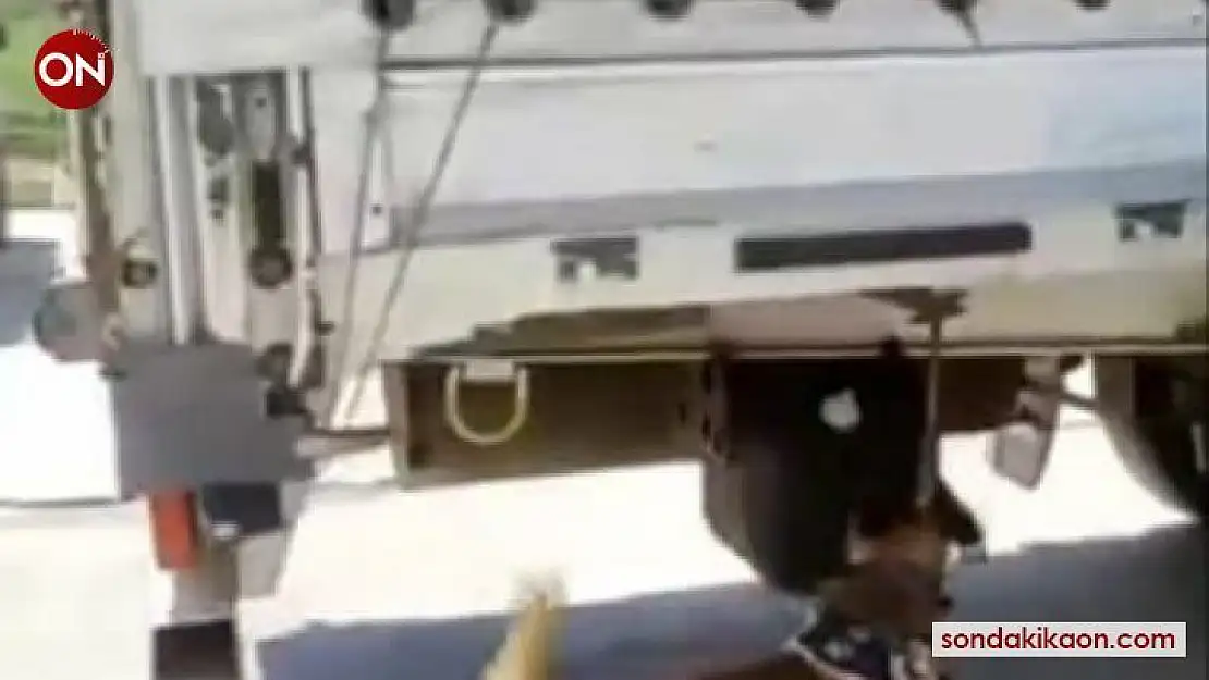 Narkotik köpeği buldu TIR dorsesinde yakalandı