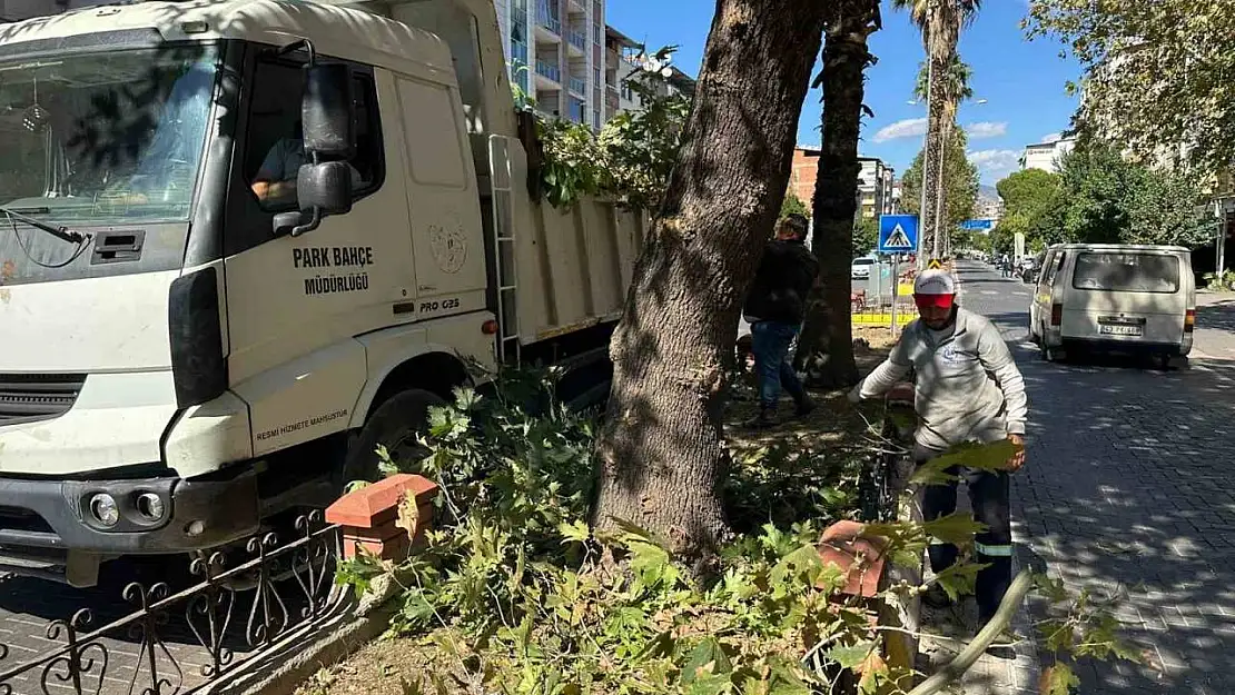 Nazilli Belediyesi kış hazırlıklarına hızla devam ediyor