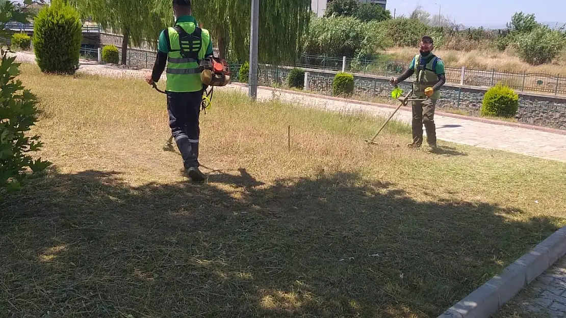 Nazilli Belediyesi, yeşil alanları bakıma aldı