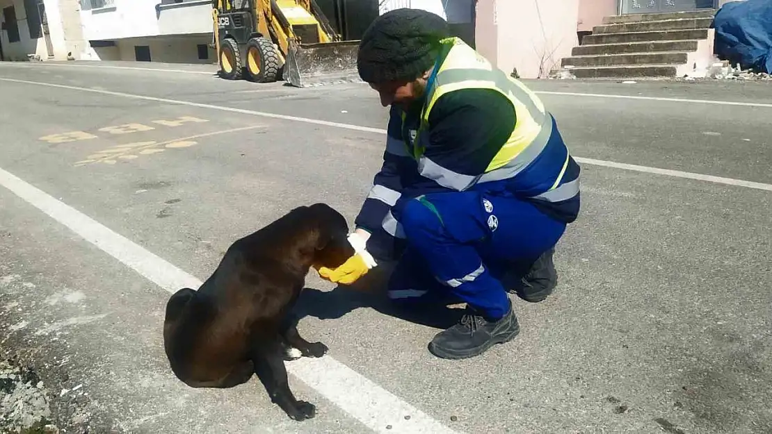 Nerede bir can varsa, orada Bursa var