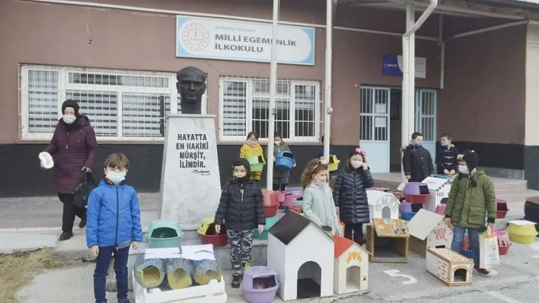 Öğrenciler sokak kedileri için 60 yuva yaptı