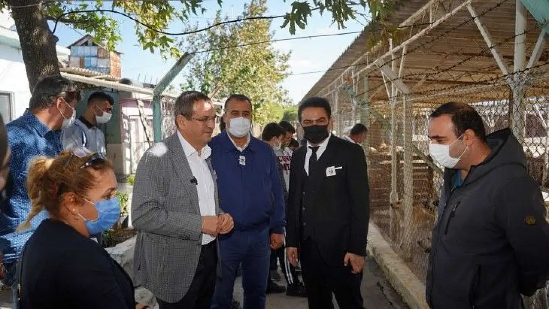 Öğrencilerle birlikte barınak ziyareti