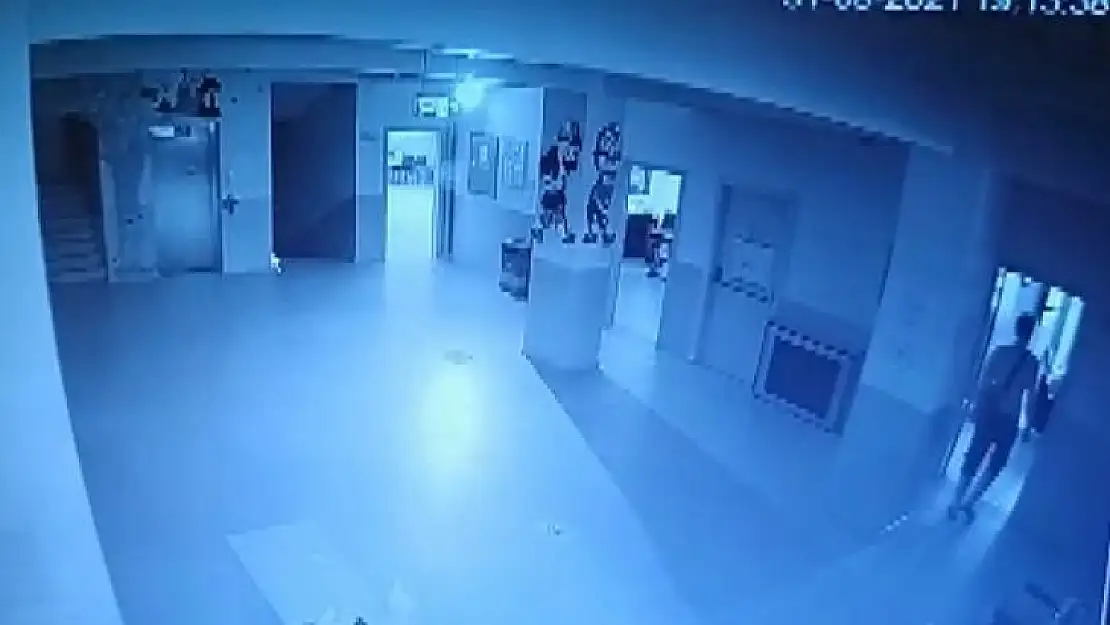 Okul fareleri kameraya yakalandı
