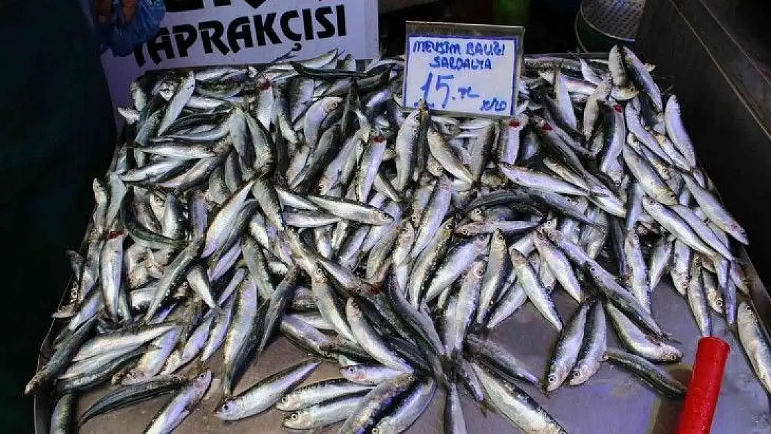 Omega üç deposu sardalya ucuzladı