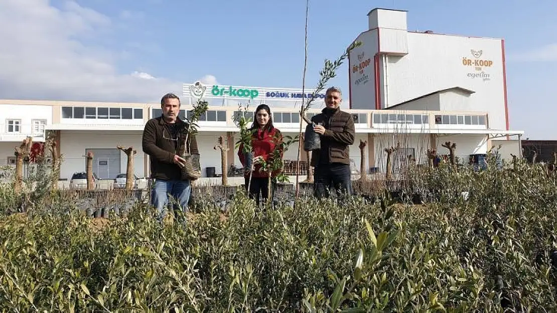ÖRKOOP'tan bölge tarımına kaliteli fidan desteği