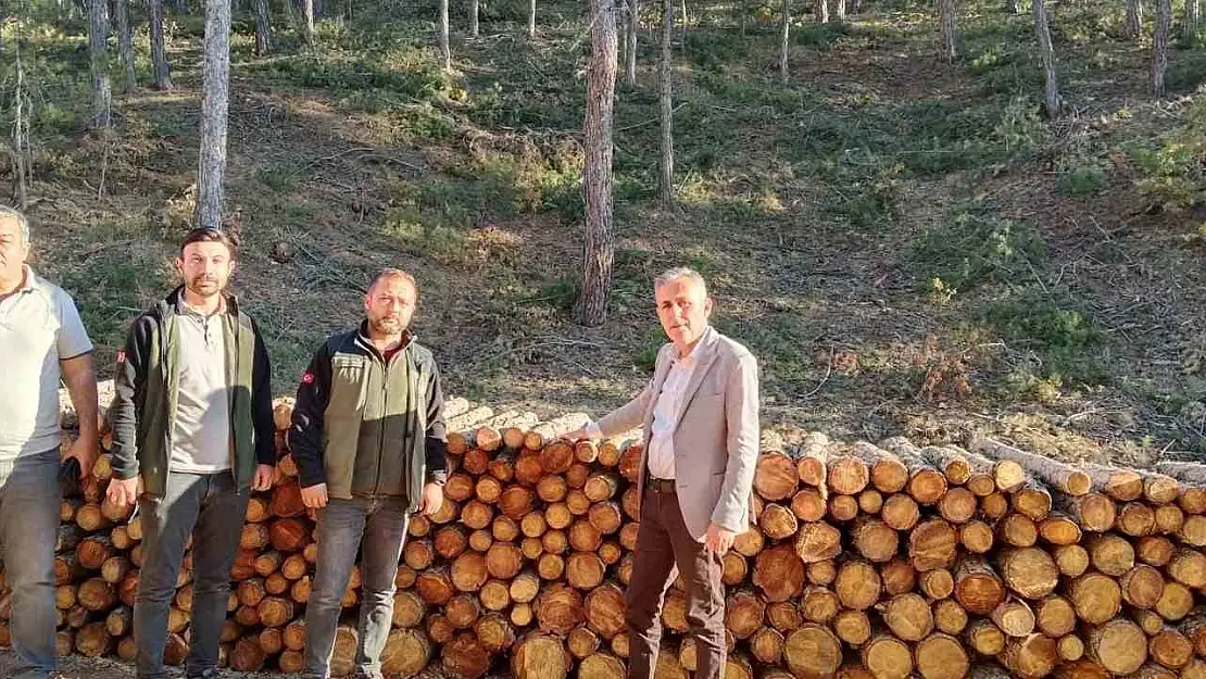 Orman Bölge Müdürü Dingil, Kütahya, Emet ve Simav'da incelemelerde bulundu