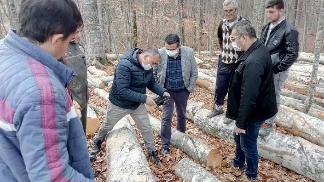 Orman İşletmesi Mustafakemalpaşa'ya nefes oldu