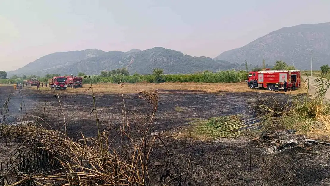 Ortaca'da sazlık yangını