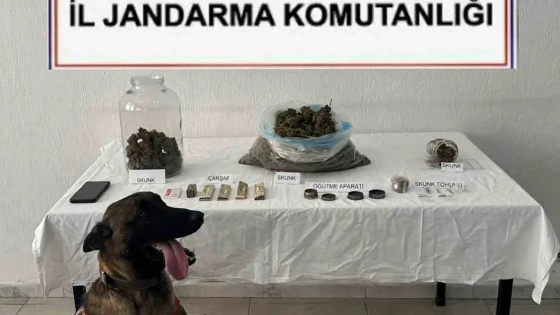 Ortaca'da uyuşturucu operasyonu: 1 tutuklama