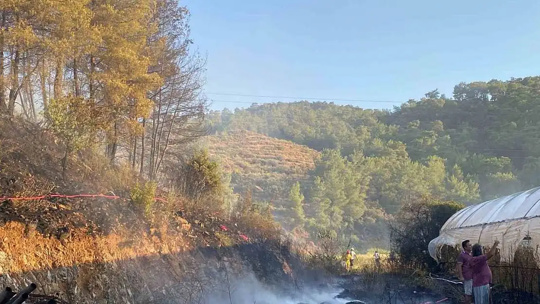 Ortaca'daki yangında 2 sera zarar gördü