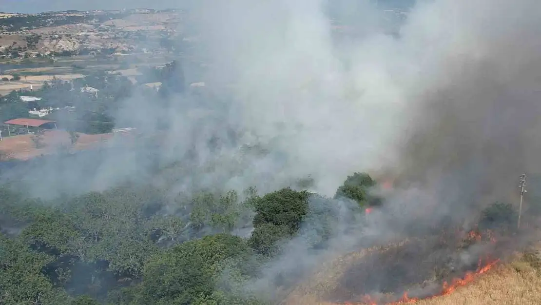 Örtü yangını ormana sıçramadan söndürüldü