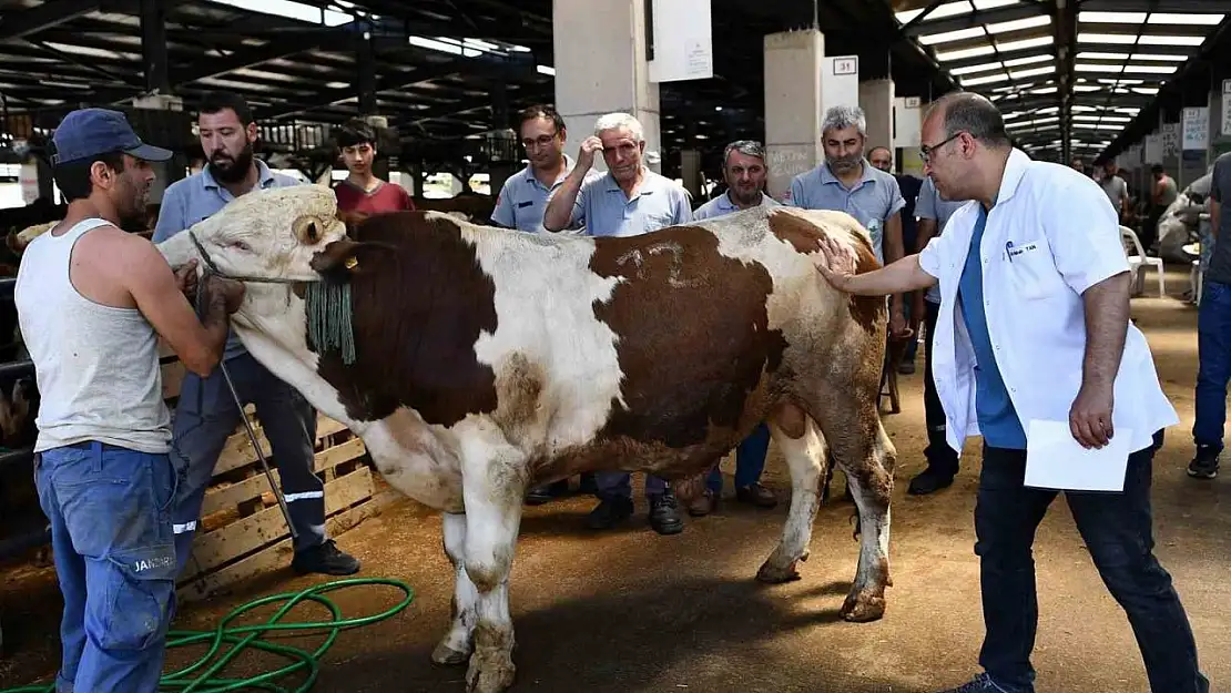 Osmangazi Belediyesi Kurban Bayramına hazır