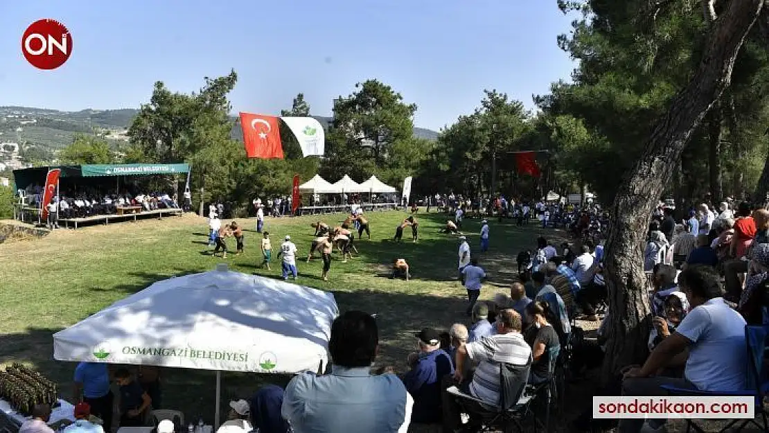 Osmangazi'den 'siyah incir'e yakışan festival