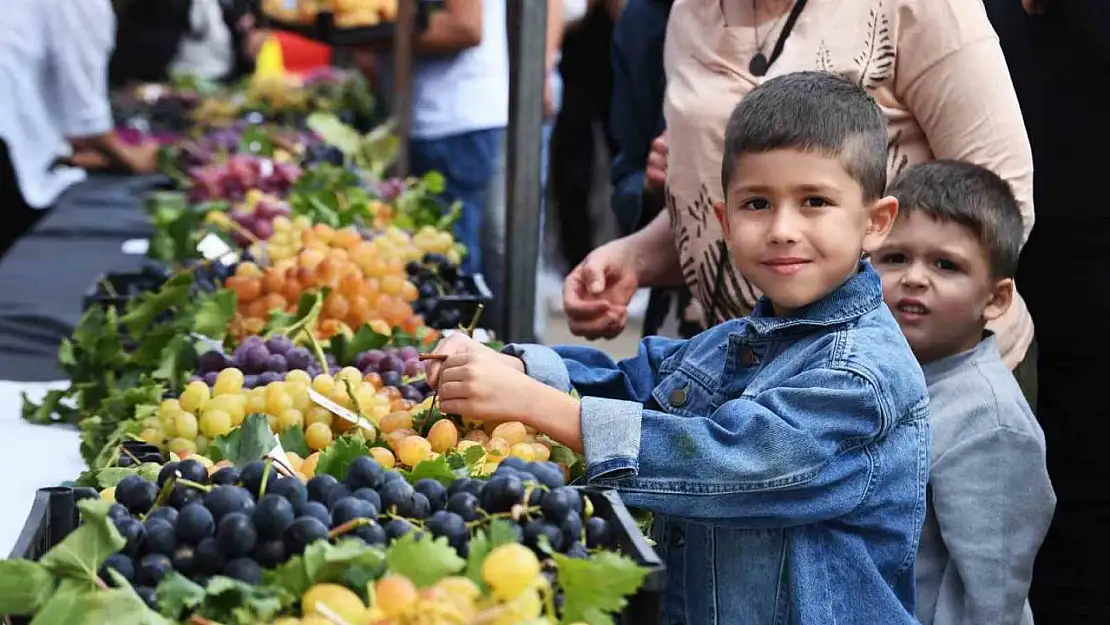 Osmangazi'nin en güzel üzümleri seçildi