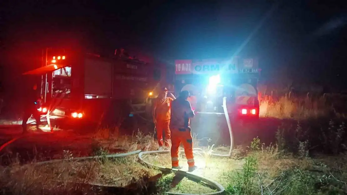 Otluk alanda çıkan yangın ağaçlık alana sıçradı