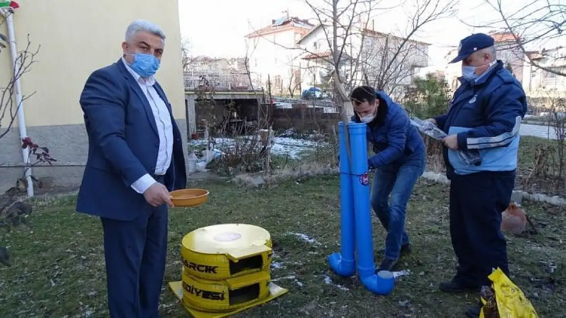 Otomobil lastikleri kedi evi oluyor