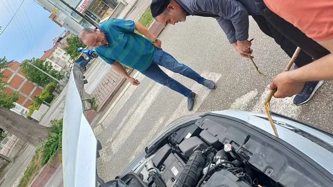 Otomobilin motor kısmına giden yavru kedi kurtarıldı