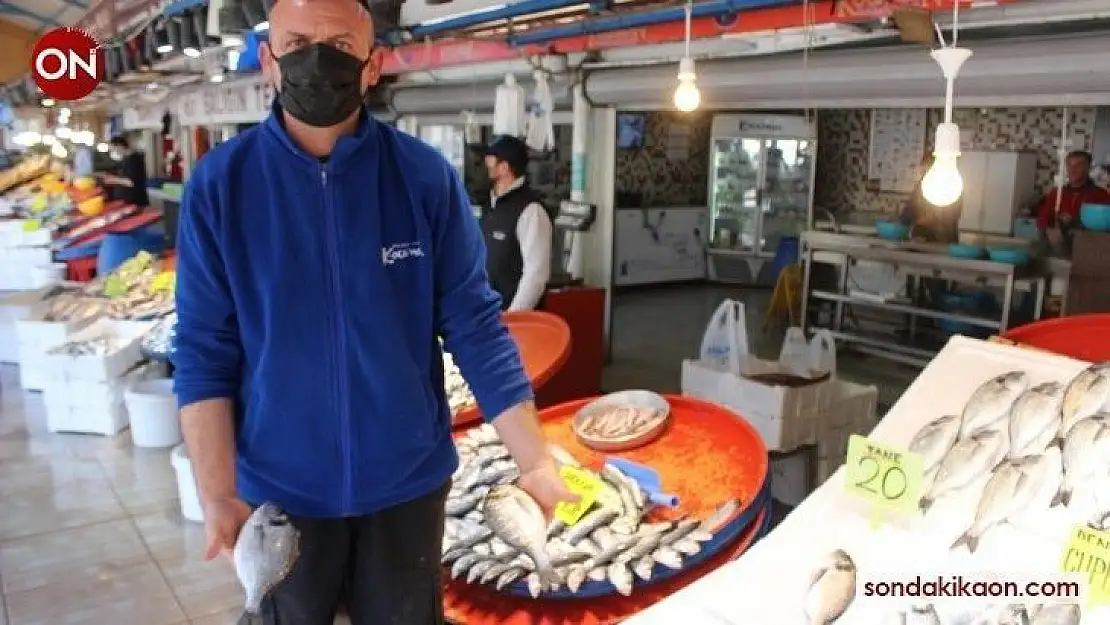 (Özel) Ramazan'da balıklar ucuzladı
