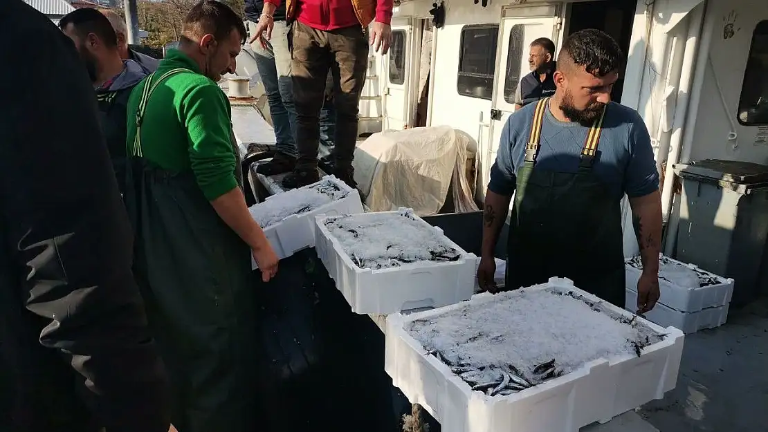 Palamut gitti o geldi! Bandırma'da hamsi akını
