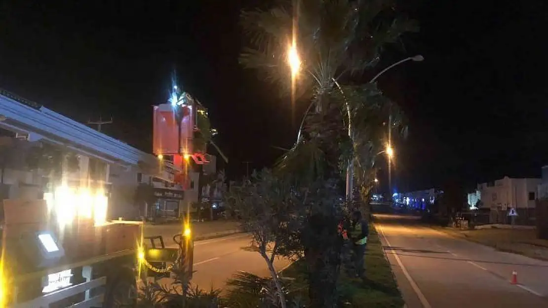 Palmiyeler için gece mesaisi