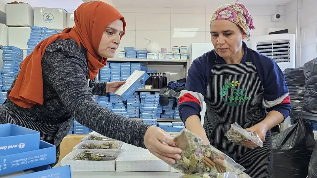 Pamukkale'de kadınların el emekleri kooperatif çatısında buluştu