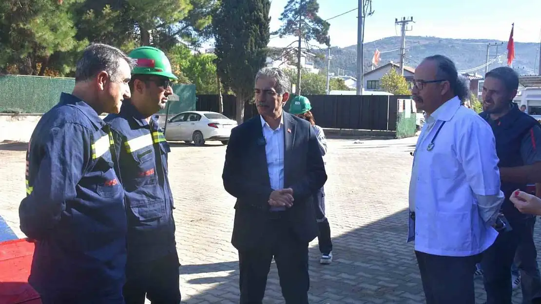 Patili canlar Gemlik Belediyesi'nin koruma altında