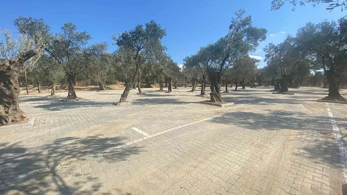 Pelitköy'e yeni pazar yeri kuruldu