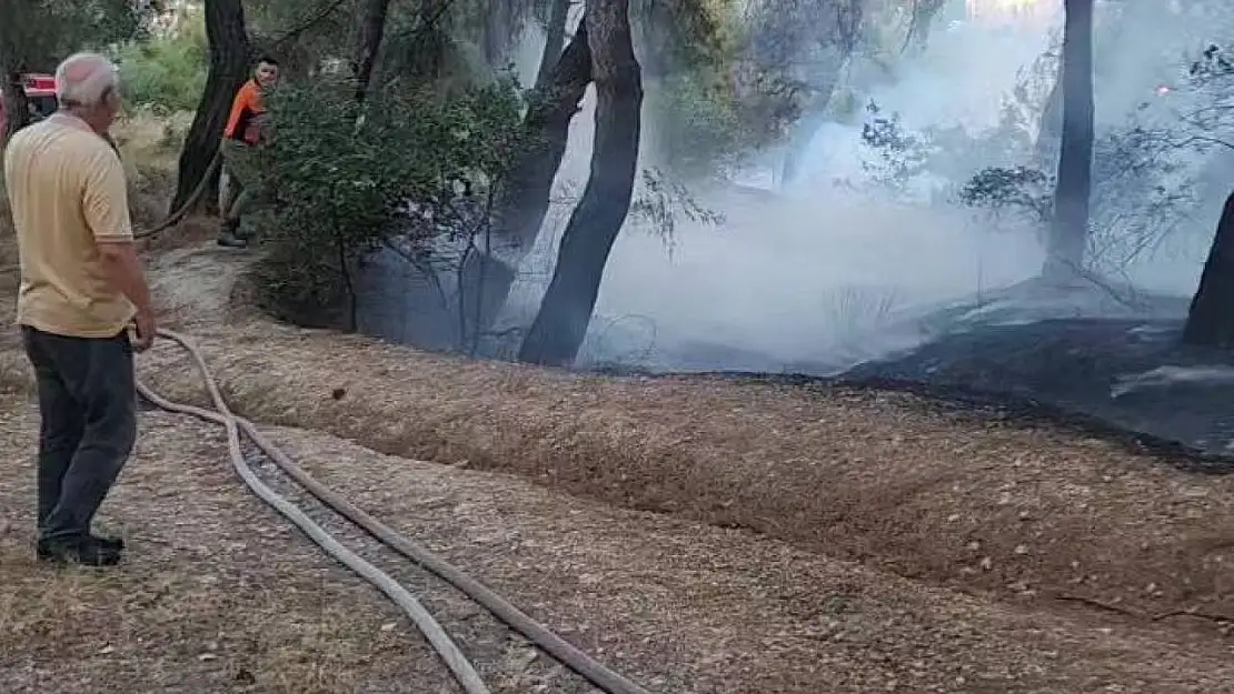 Piknik alanında çıkan yangın ormana sıçramadan söndürüldü