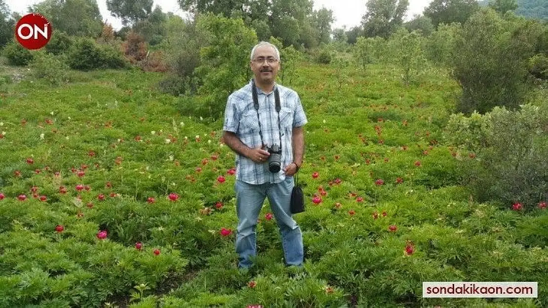 Prof Dr. Fatih Satıl, 'Arıcılık için bal ormanlarını artırmalıyız'