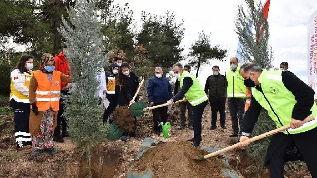 Sağlık kahramanları ormanı