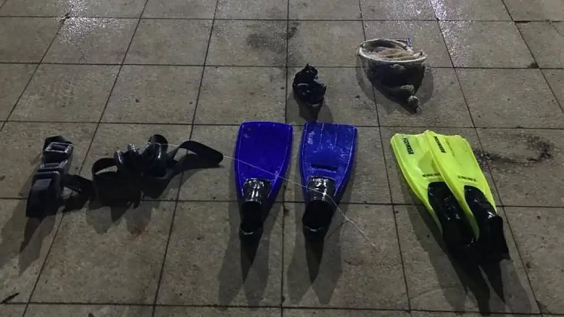 Sahil Güvenlik'in 'Denize Nefes' operasyonunda 55 kilo deniz patlıcanı ele geçirildi