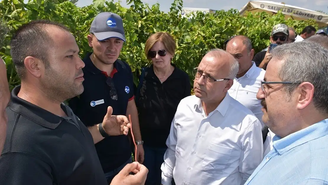 Salihli'de örnek proje tarla günü ile kutlandı