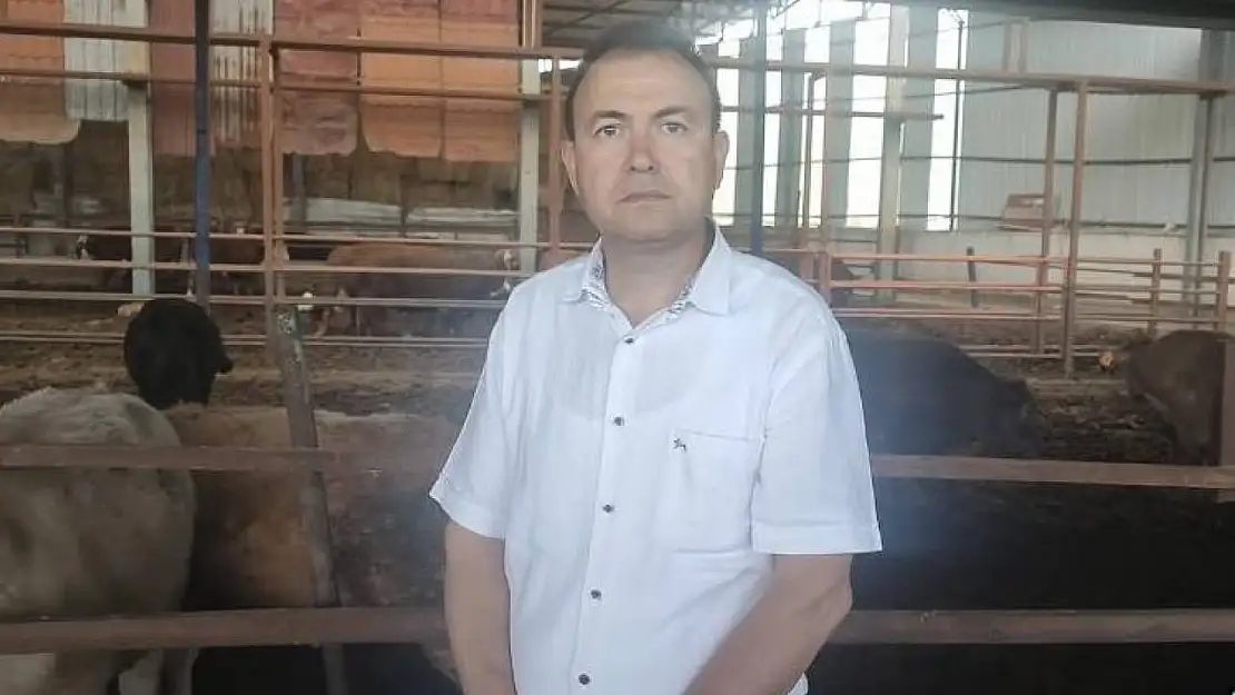 Sattığı kurbanlık dananın fotoğrafını çekerken canından oldu