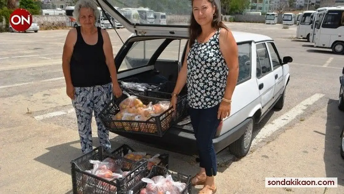 Şefkatli ellerden bu kez de ihtiyaç sahiplerine meyve desteği