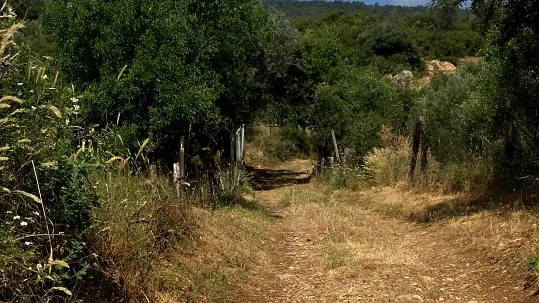 Şehzadeler Belediyesi, 5 yıldır kapalı olan yolu yeniden ulaşıma açtı