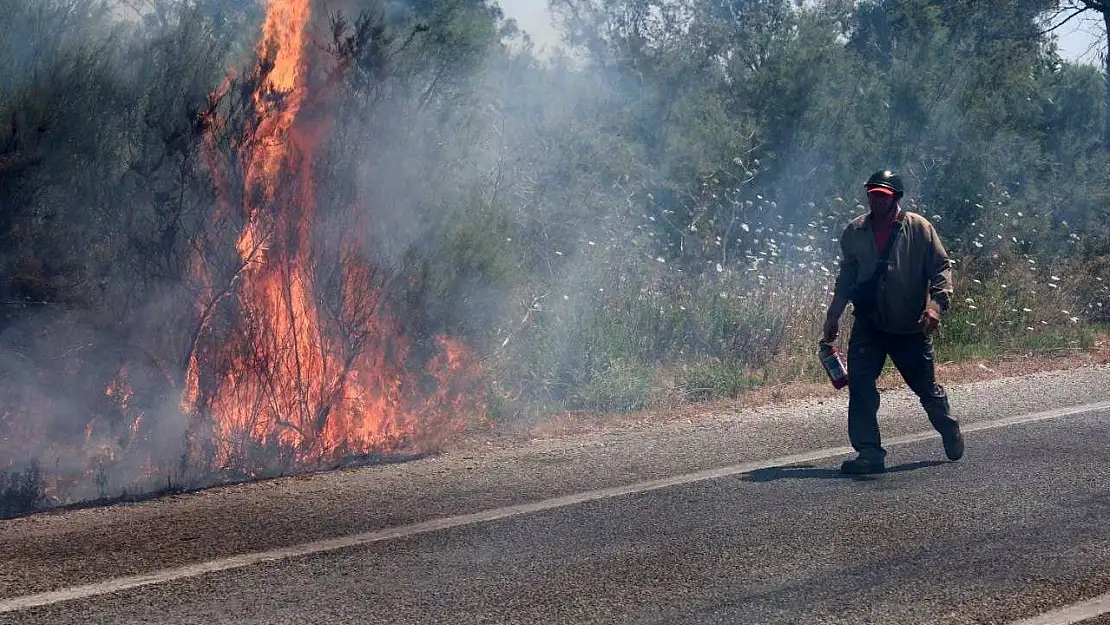 Selçuk'ta bir yangın daha: İlk müdahale vatandaşlardan