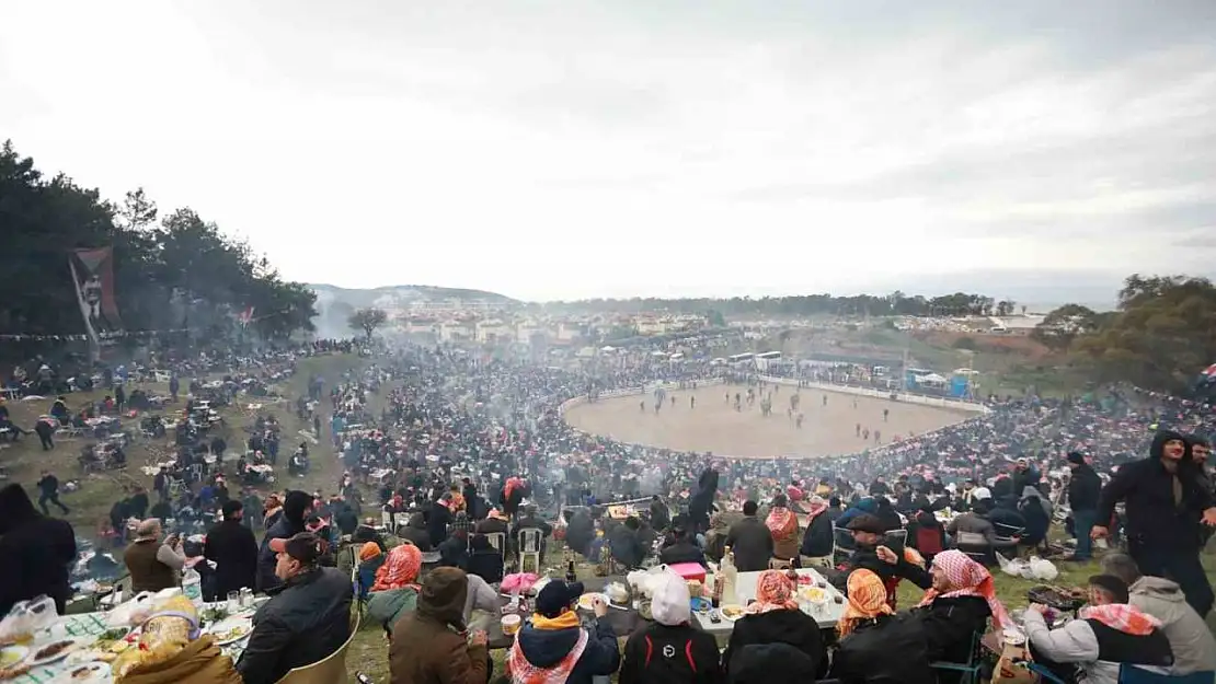 Selçuk'ta Deve Güreşleri Festivali heyecanı başlıyor