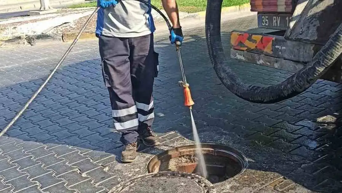 Selçuk'ta haşereyle mücadelede önlemler artırıldı