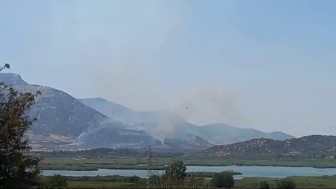 Selçuk'taki orman yangını kontrol altında