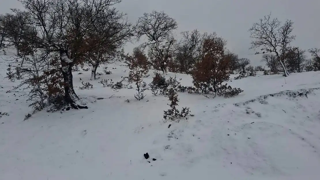 Selendi'de kar yağışı vatandaşların yüzünü güldürdü