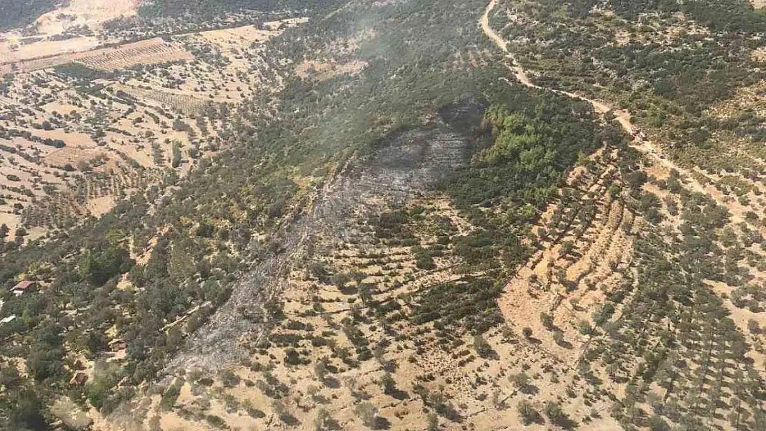 Seydikemer'de çıkan orman yangını kontrol altına alındı