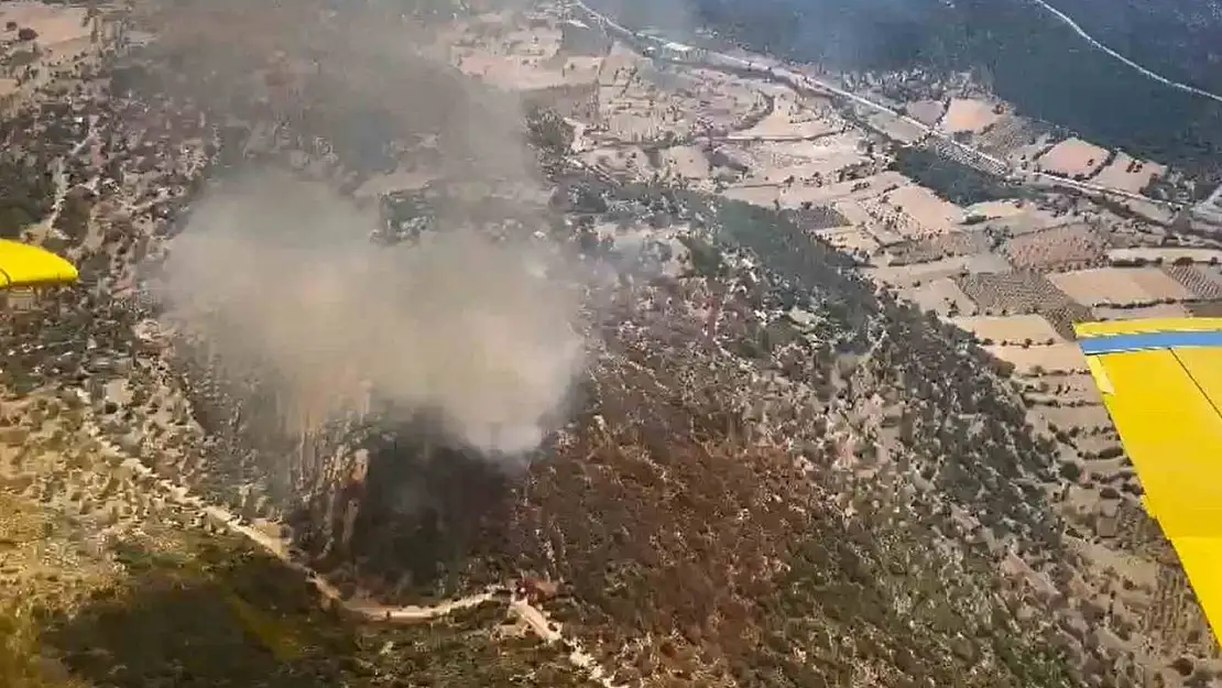 Seydikemer'de orman yangını