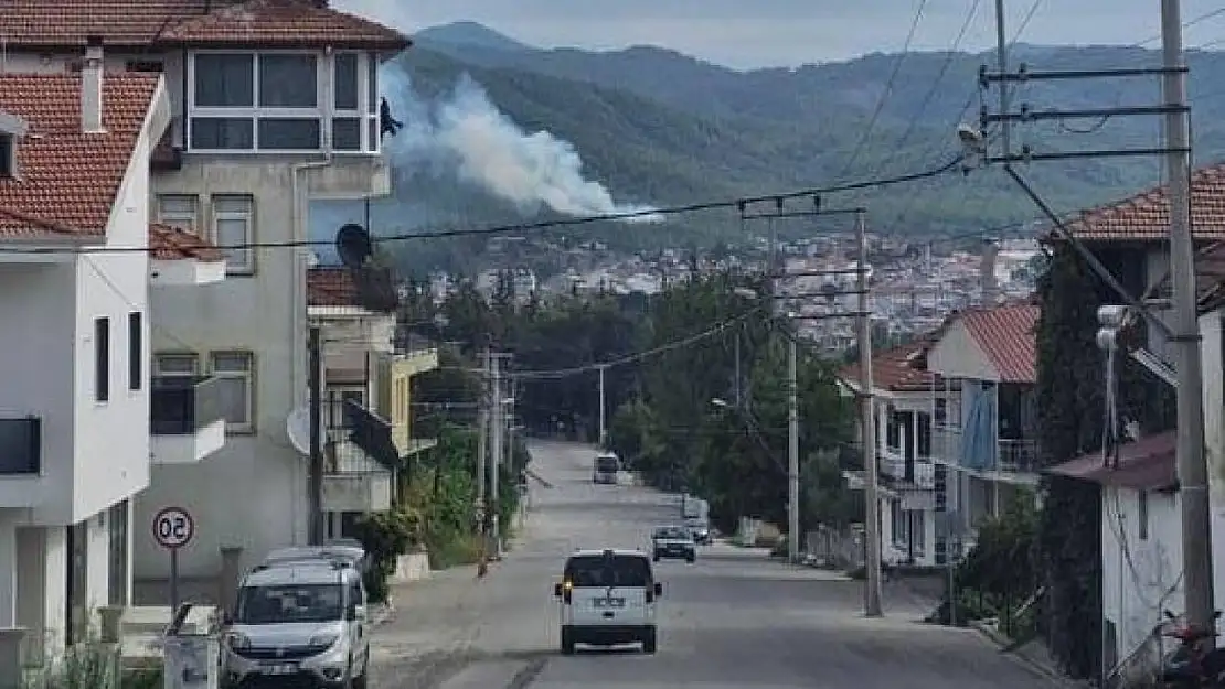 Seydikemer'de yıldırım kaynaklı orman yangını