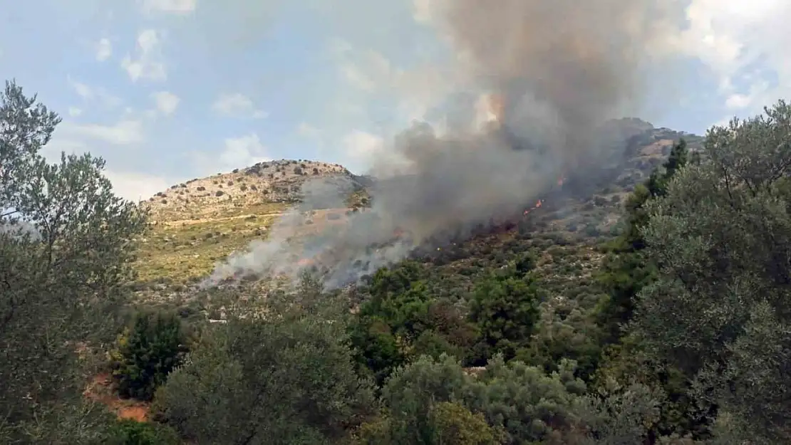 Seydikemer orman yangını söndürüldü