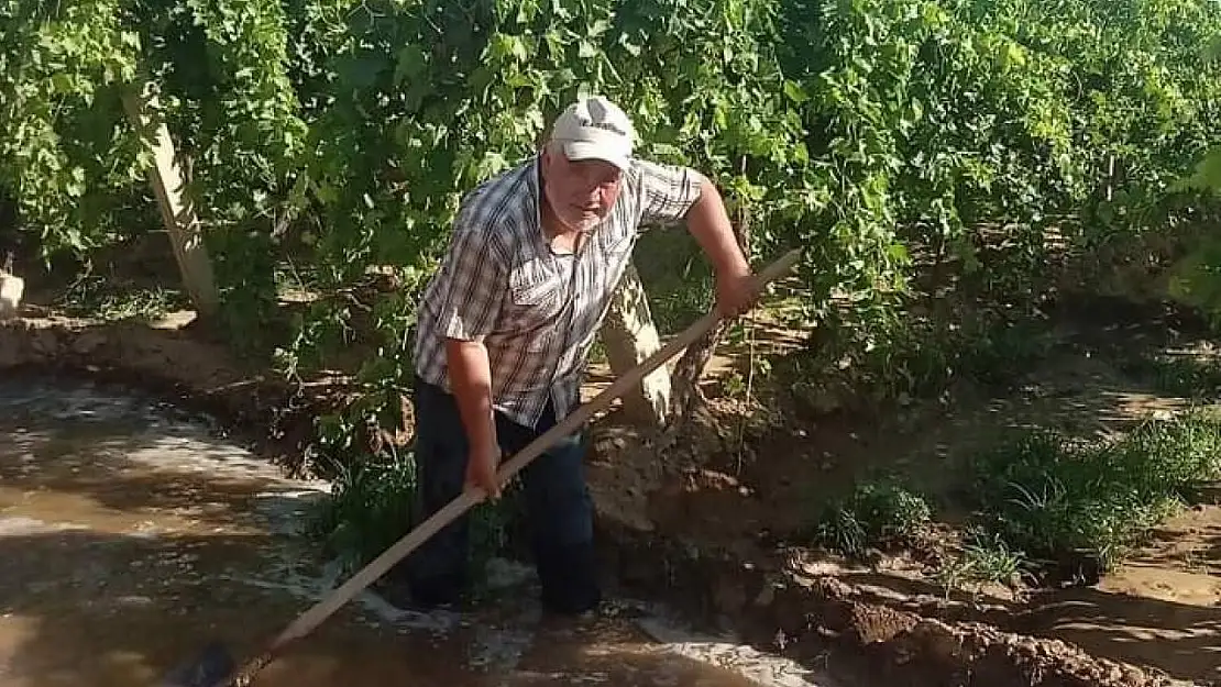 Sıcak havaya karşı üzüm bağlarına su takviyesi