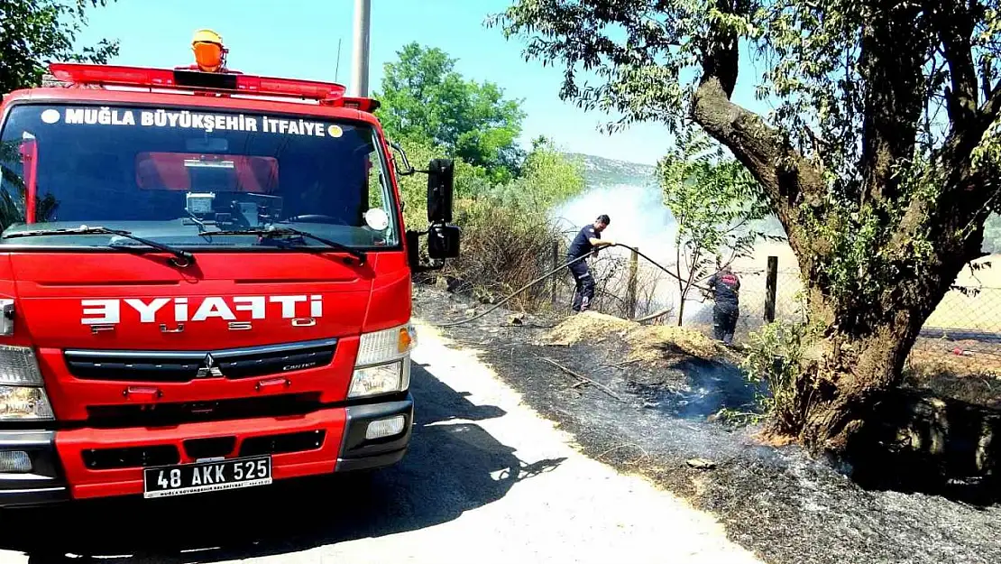 Sigara izmariti yangın çıkardı